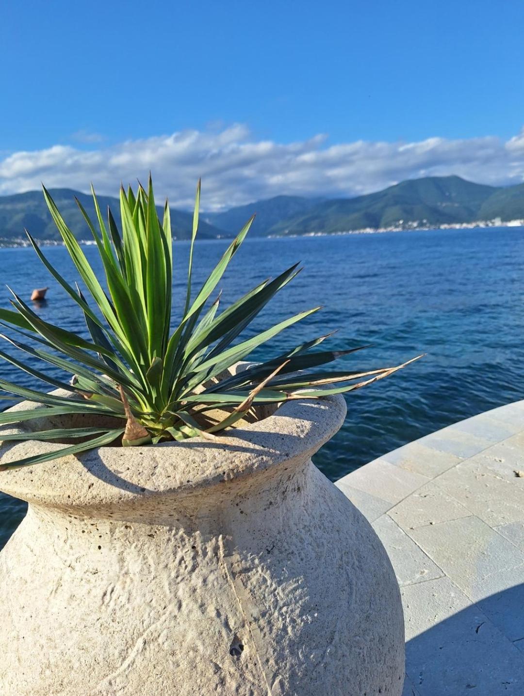 Apartments Ponta Krasici Tivat Kültér fotó